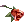 ?module=image&action=processicon&id=5548.png
